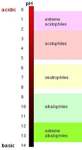 pH scale showing acidophiles, neutrophiles, and alkalophiles