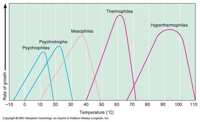 Growth rate vs. temperature for different microbial groups