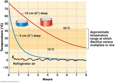 Cooling curves for food at different depths