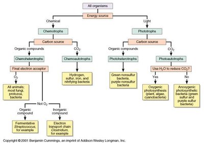 Nutritional classification flowchart