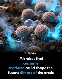 Microbes consuming methane and affecting climate