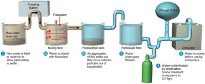 Steps in municipal water purification