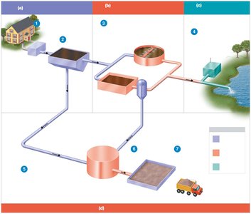 Stages in typical sewage treatment