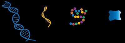 DNA, RNA, protein, and cell schematic