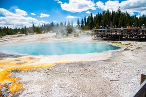 Hot spring as an example of thermophilic environment