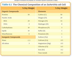 Table of chemical composition of E. coli cell