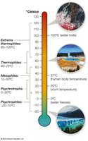 Temperature ranges for microbial growth