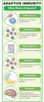 Characteristics of adaptive immunity: specificity, diversity, inducibility, clonality, tolerance, memory