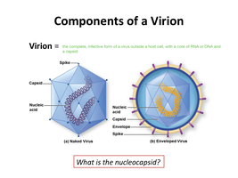 Diagram comparing naked and enveloped virions