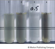 McFarland standards for turbidity