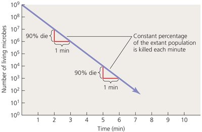 Graph showing microbial death rate over time