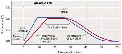 Autoclave temperature and sterilization time graph