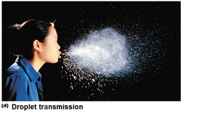 Droplet transmission
