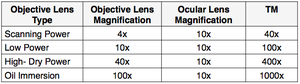 Table of objective and ocular lens magnification
