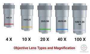 Objective lens types and magnification