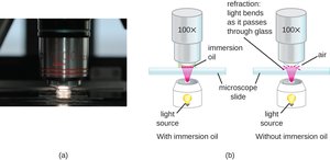 Oil immersion technique diagram