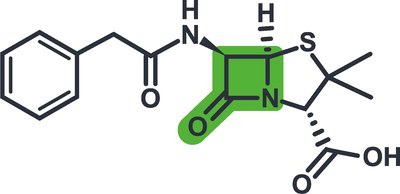Beta-lactam ring structure