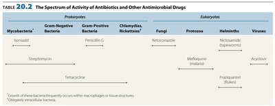 Table: Spectrum of Activity of Antibiotics and Other Antimicrobial Drugs