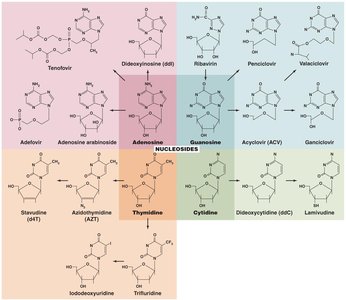 Structures of nucleoside analogs used as antiviral drugs
