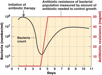 Graph showing rise in antibiotic resistance with therapy