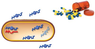 Mechanisms of antibiotic resistance