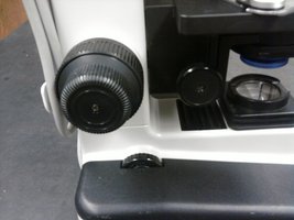 Microscope focus knobs