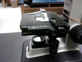 Microscope stage and condenser