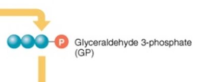 Glyceraldehyde 3-phosphate (GP) structure