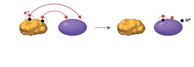 Diagram showing biological oxidation and reduction involving hydrogen atoms and NAD+