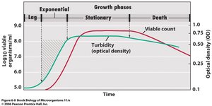 Microbial growth curve showing lag, exponential, stationary, and death phases