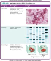 Table of microbial identification methods