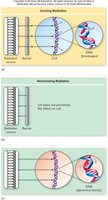 Cellular effects of ionizing and nonionizing radiation
