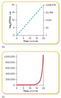 Graphs showing exponential and logarithmic bacterial growth
