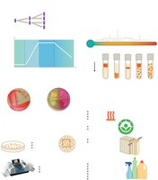 Visual summary of microbial growth and decontamination
