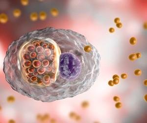 Chlamydia trachomatis cell
