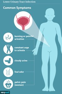 Common symptoms of lower urinary tract infection