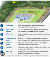Tick prevention strategies around the home