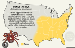 Distribution and information about the lone star tick