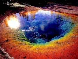 Archaea in extreme environments