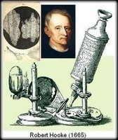 Robert Hooke's microscope and early cell observations