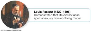 Louis Pasteur and the swan-neck flask experiment