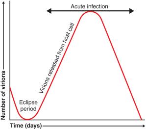 Viral one-step growth curve