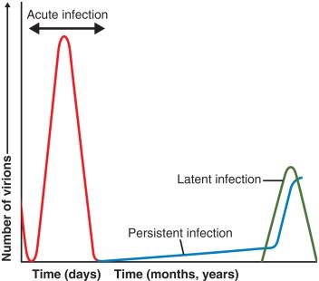 Latent and persistent viral infections