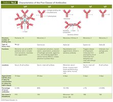 Table of antibody classes and structures