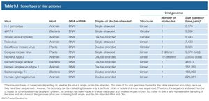 Table of viral genomes