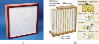 HEPA filter structure and mechanism of microbial removal