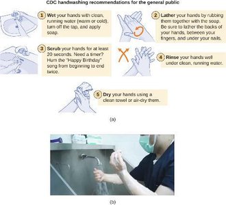 CDC handwashing recommendations and technique