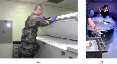 Freezing and ultra-low temperature storage of microbial samples