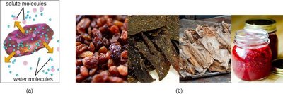 Desiccation and food preservation by drying, salting, or sugaring
