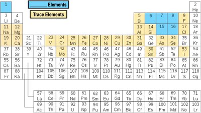 Isotopes of carbon